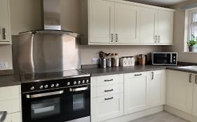 Newly Renovated & Spacious House